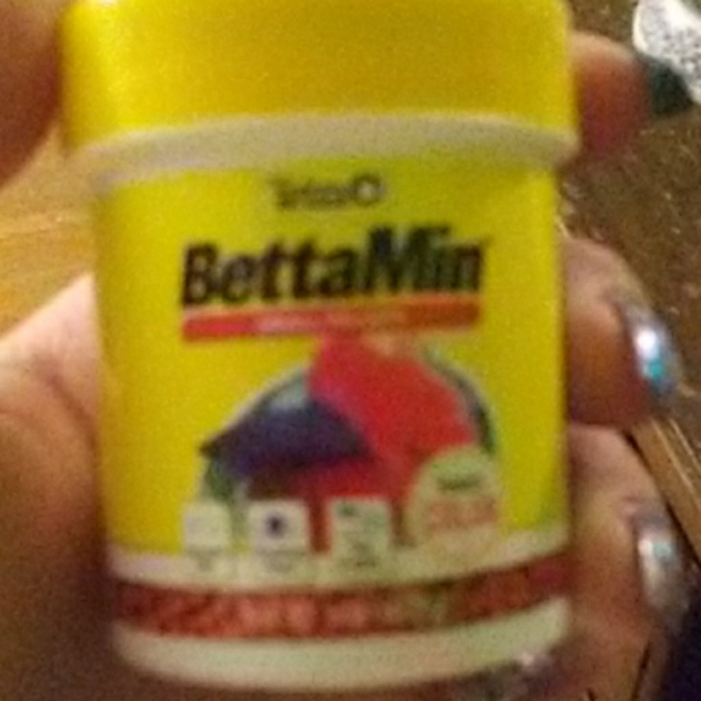 New tetra beta food
